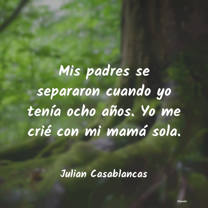 Frases de Julian Casablancas