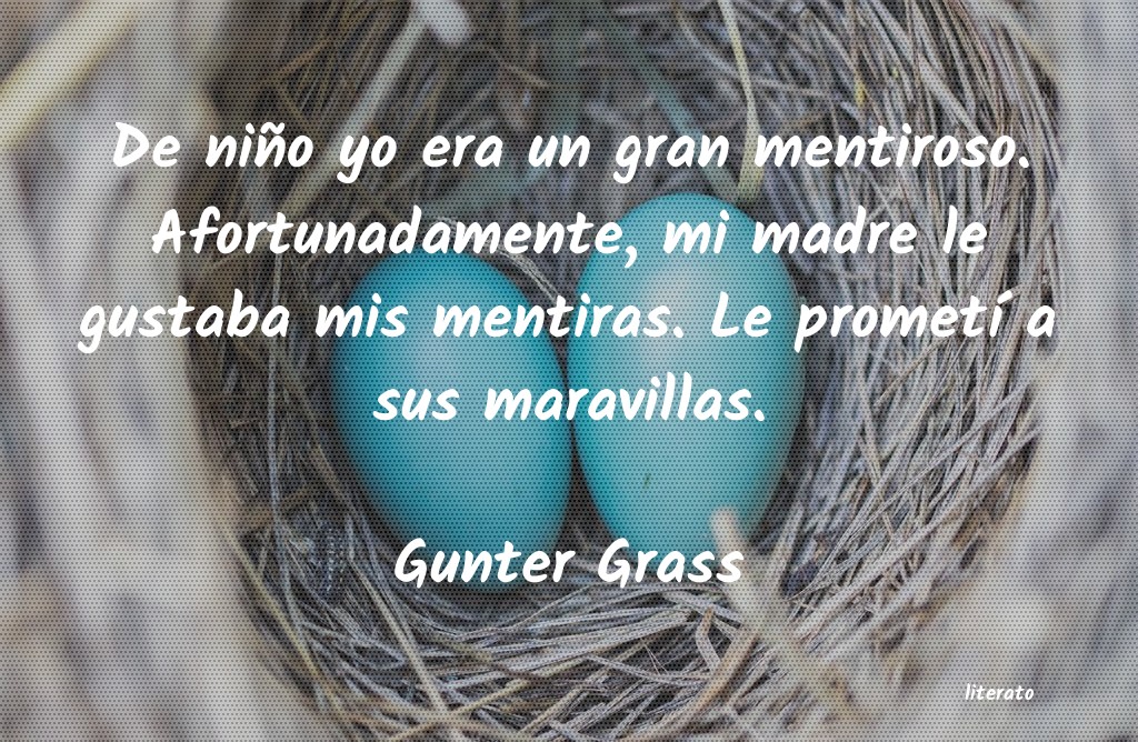 frases de Gunter Grass