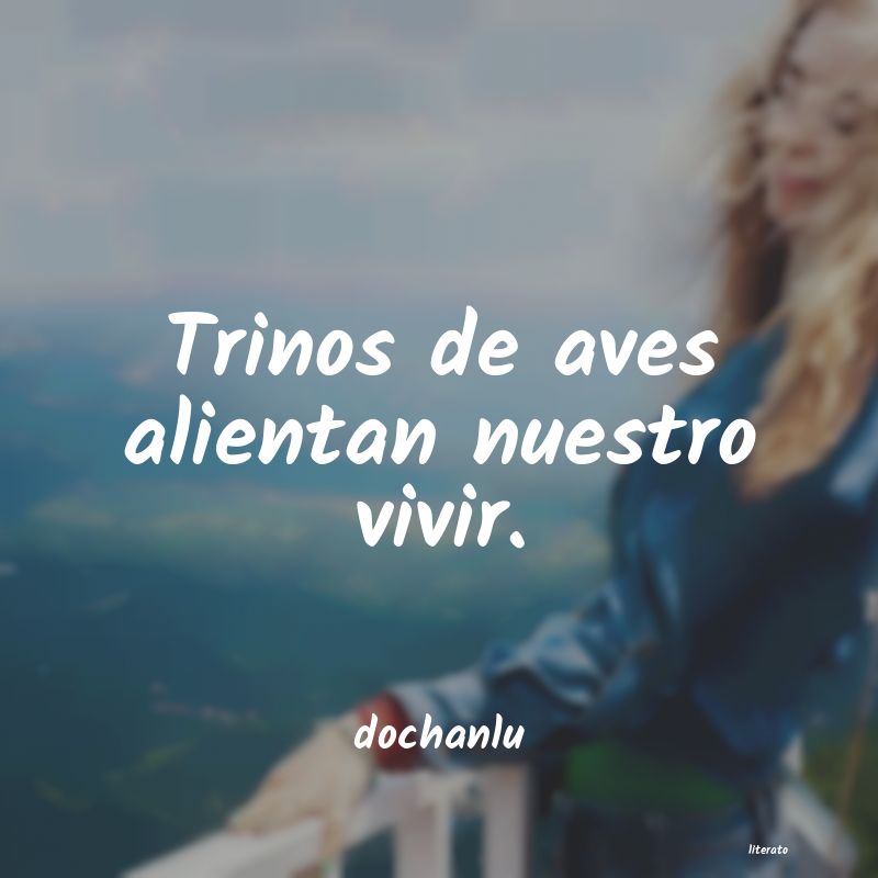 frases de dochanlu