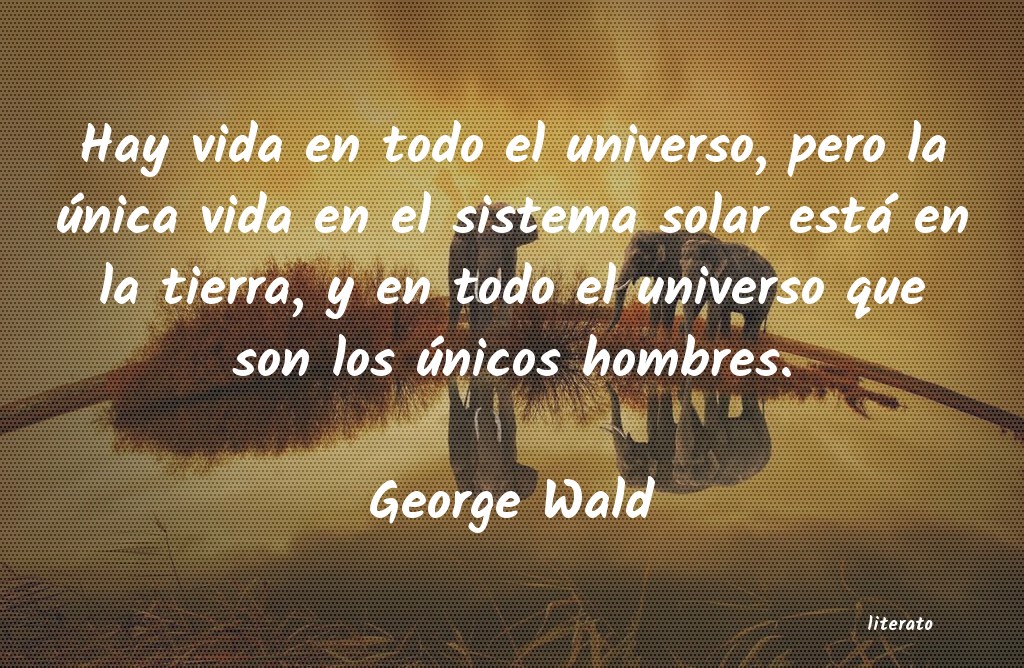 Frases de George Wald