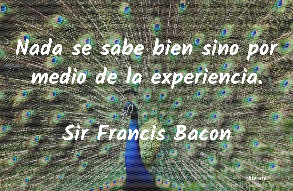 frases de Sir Francis Bacon