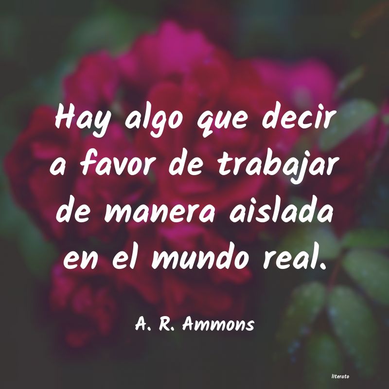 Frases de A. R. Ammons