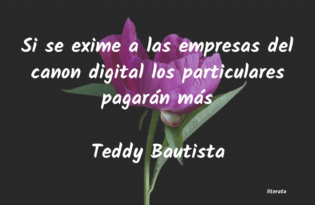 frases de Teddy Bautista