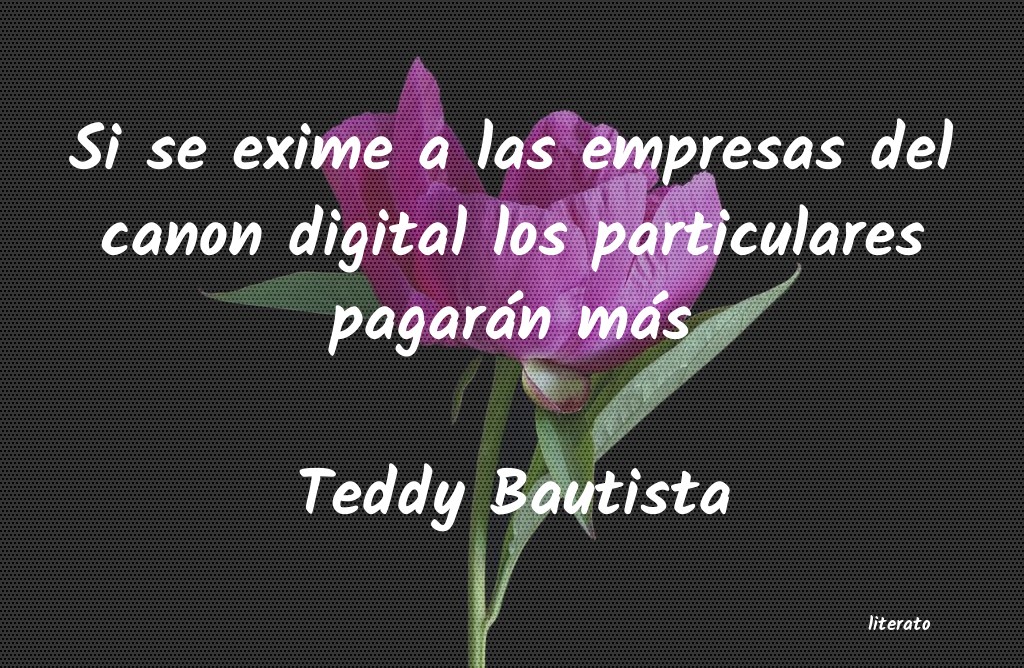 Frases de Teddy Bautista