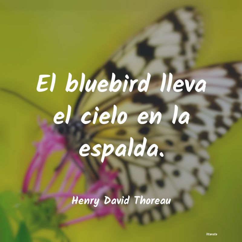 frases de Henry David Thoreau
