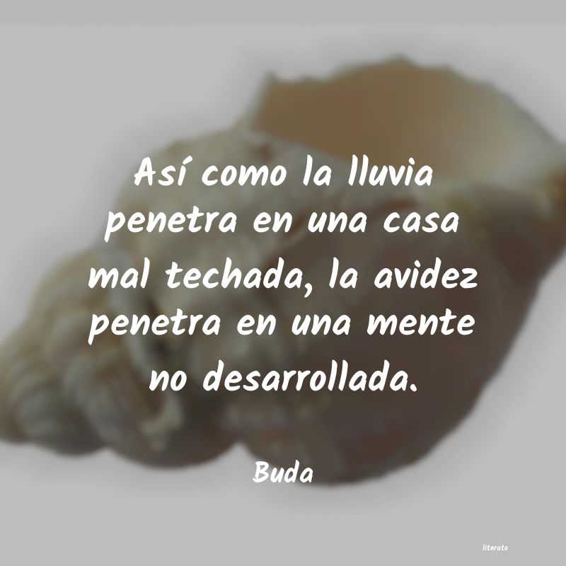 Frases de Buda