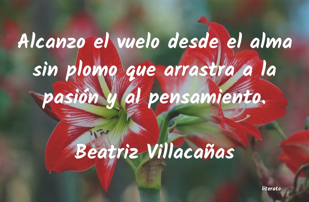 frases de Beatriz Villacañas