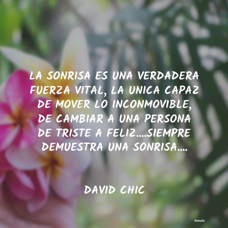 Frases de DAVID CHIC