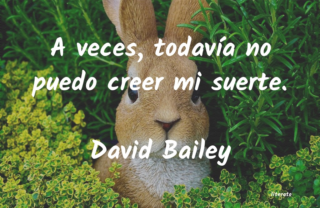 Frases de David Bailey