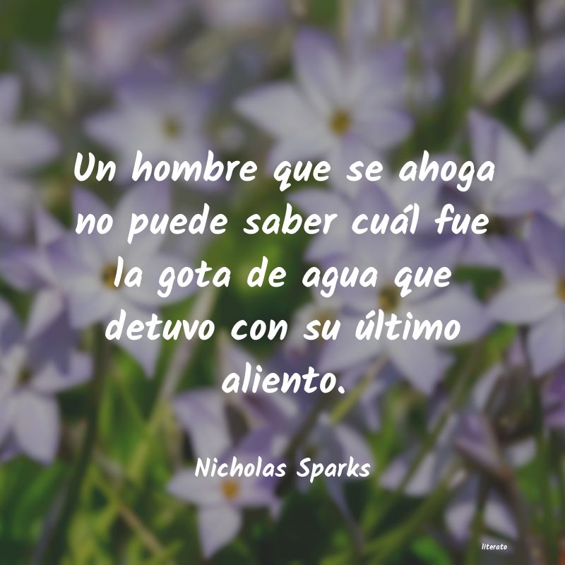 Frases de Nicholas Sparks