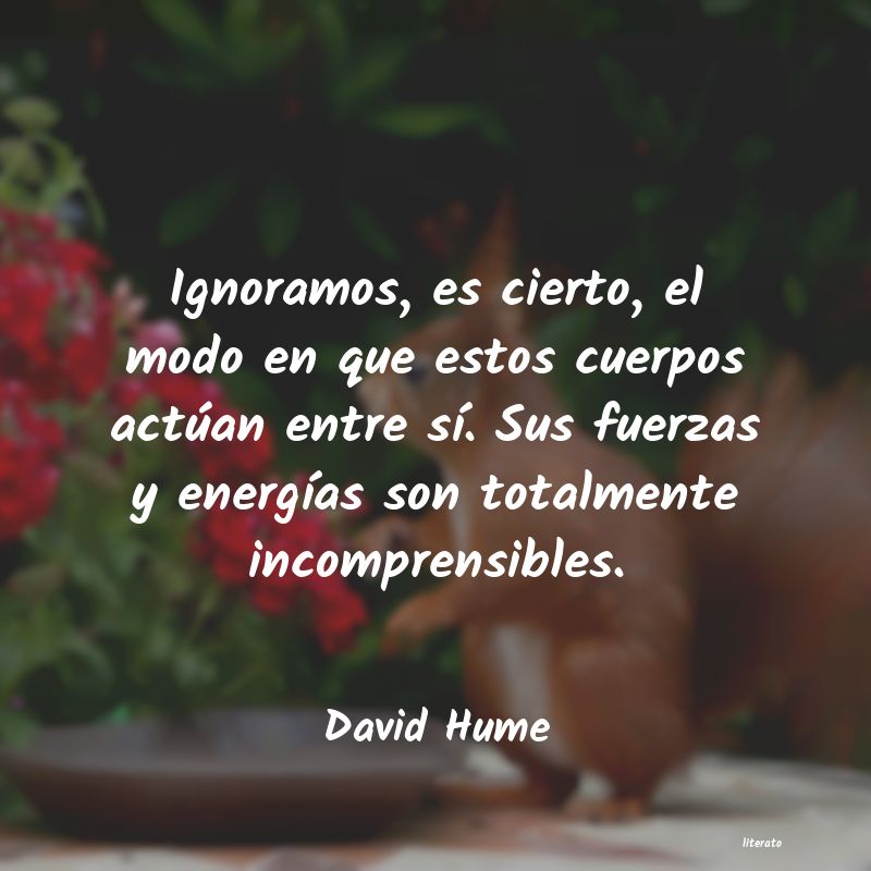 Frases de David Hume