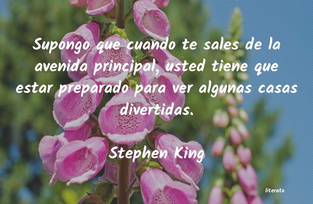 frases de Stephen King