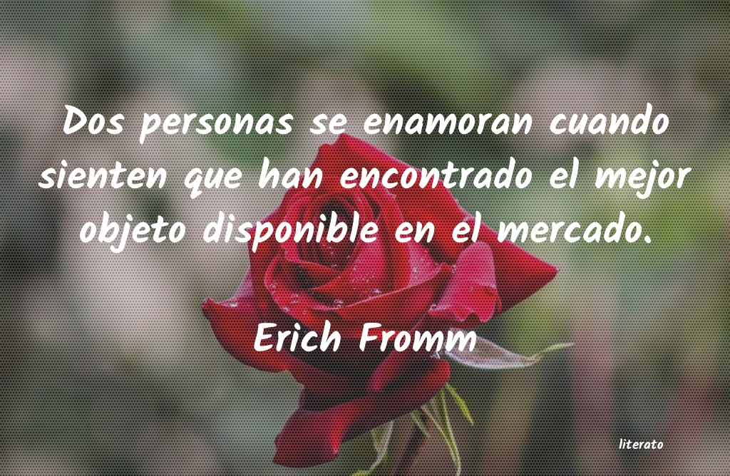 Frases de Erich Fromm