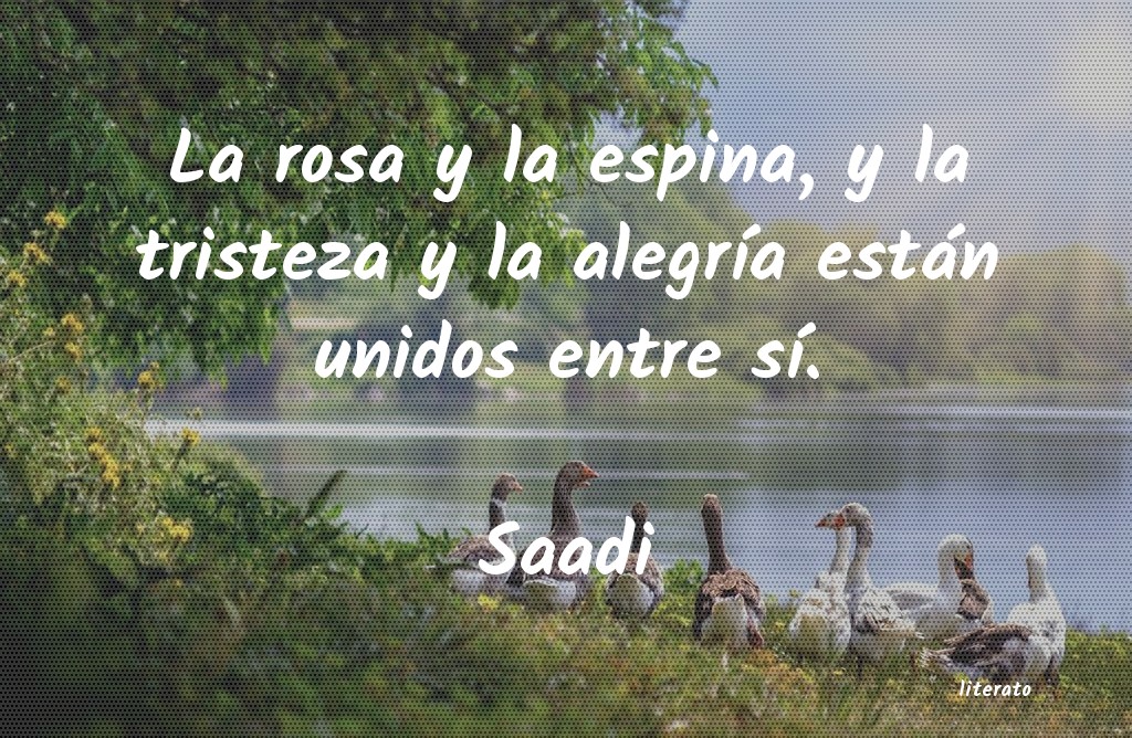 Frases de Saadi