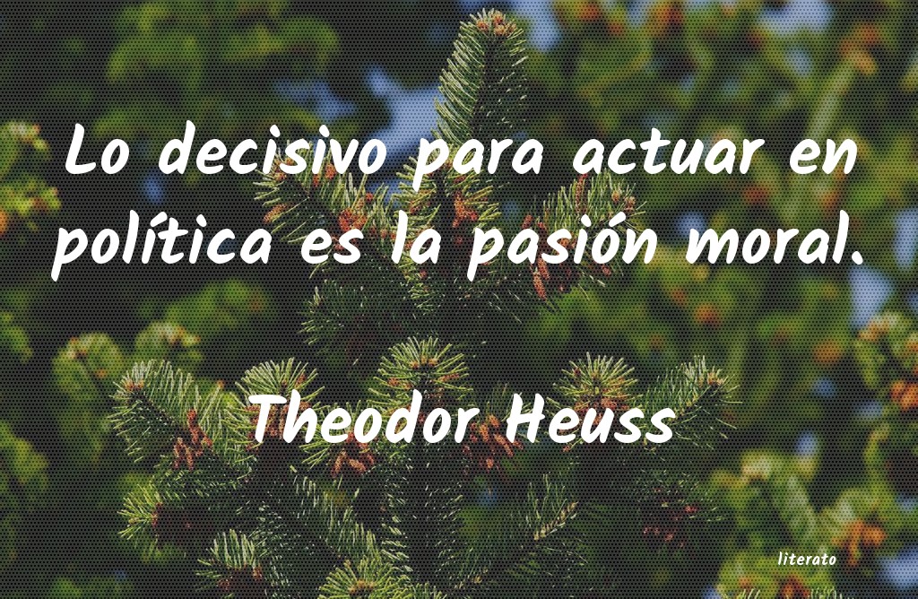 Frases de Theodor Heuss