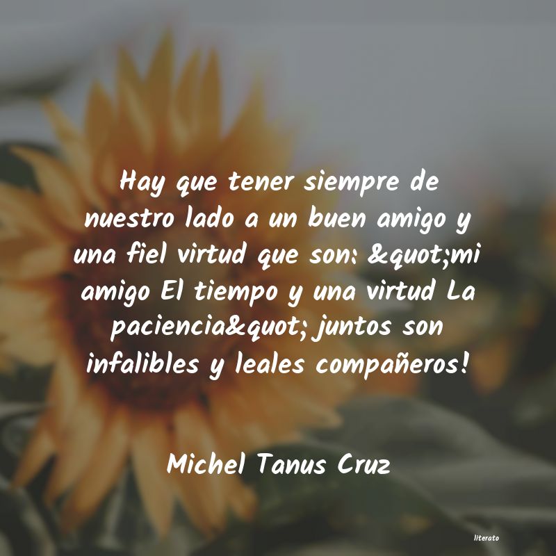 frases de Michel Tanus Cruz