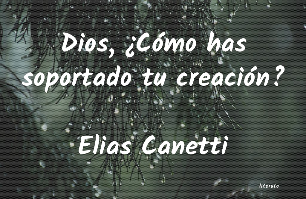 elias canetti conocimiento conocer mejor