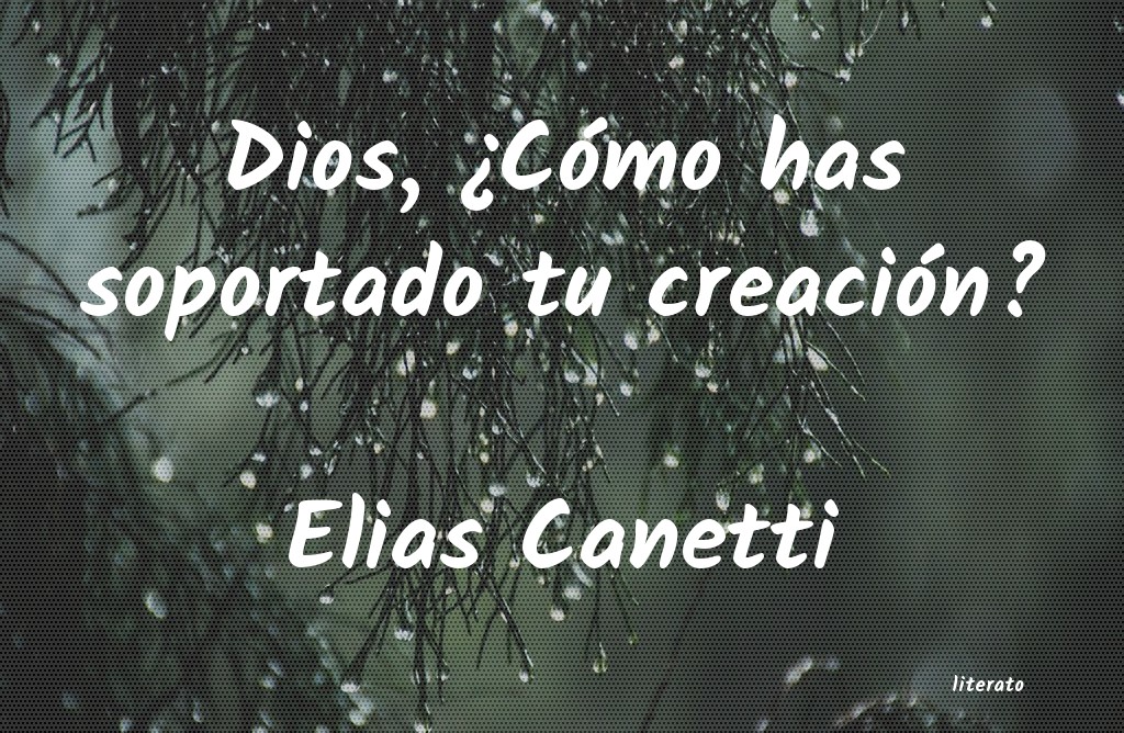 Frases de Elias Canetti