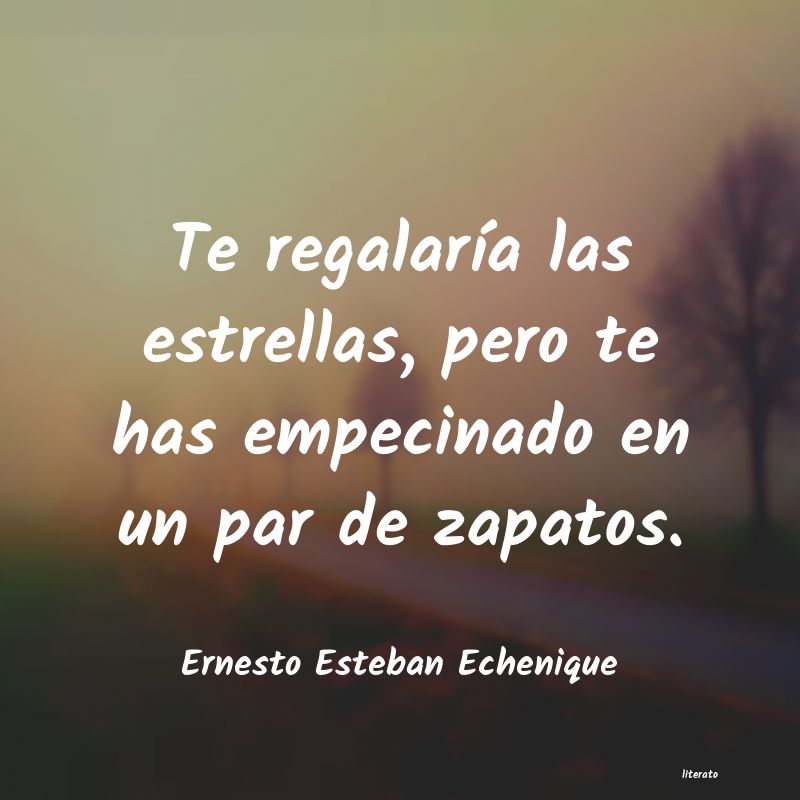 frases de Ernesto Esteban Echenique