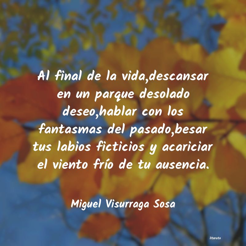 Frases de Miguel Visurraga Sosa