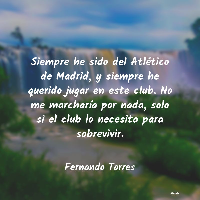 Frases de Fernando Torres