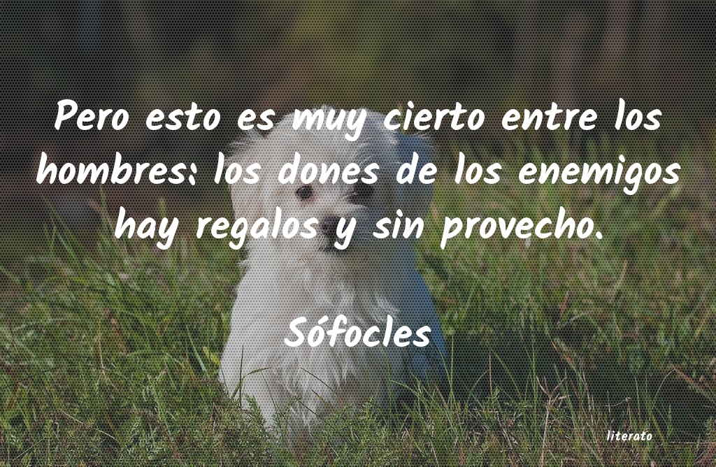 frases de SÃ³focles