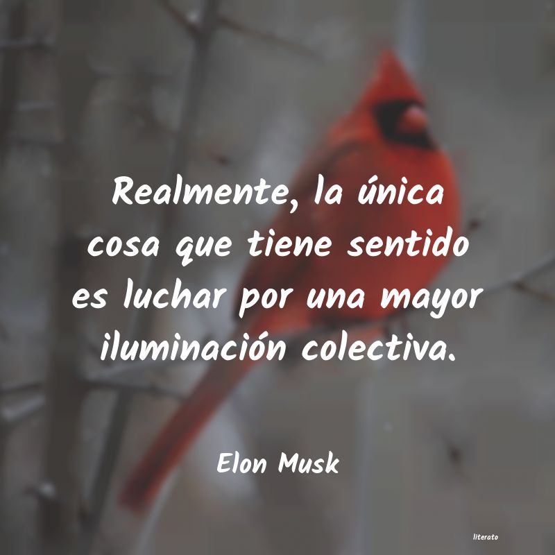 frases de Elon Musk