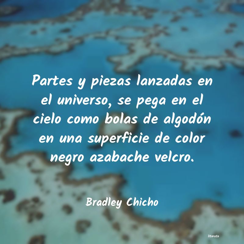 Frases de Bradley Chicho