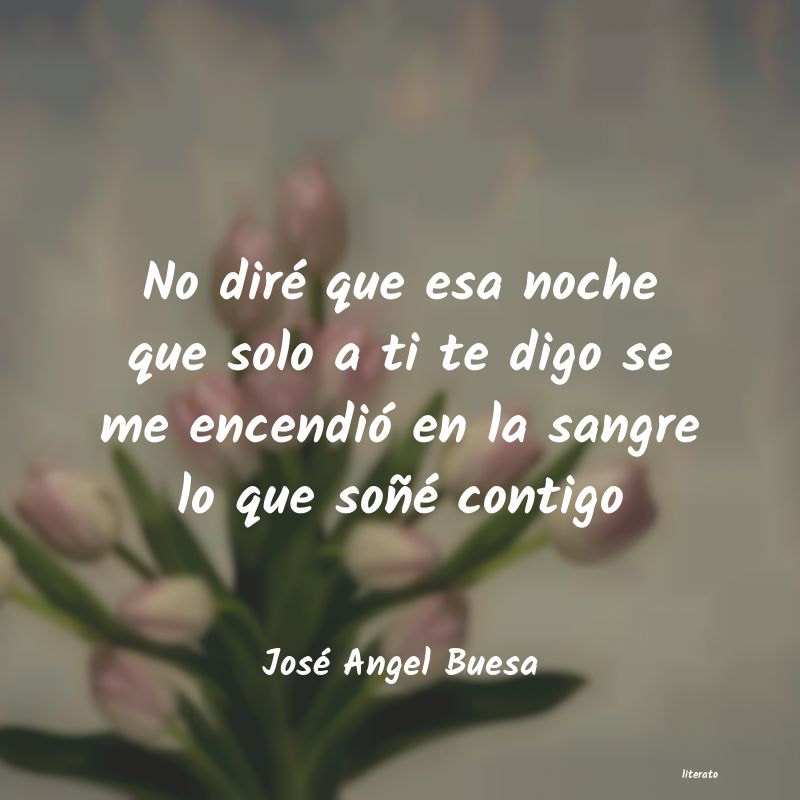 Frases de José Angel Buesa