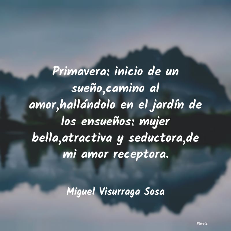 Frases de Miguel Visurraga Sosa