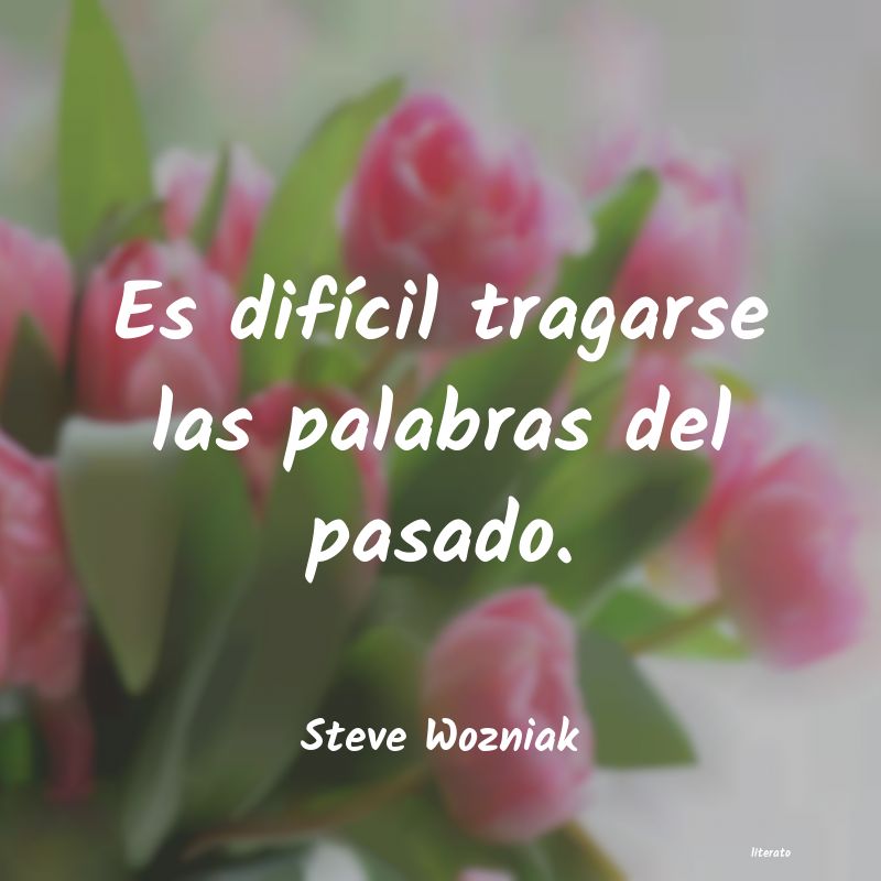 Frases de Steve Wozniak