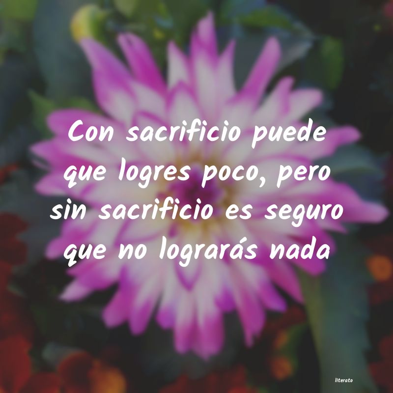 frases