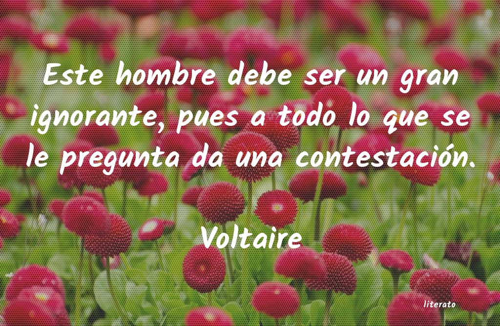 Frases de Voltaire