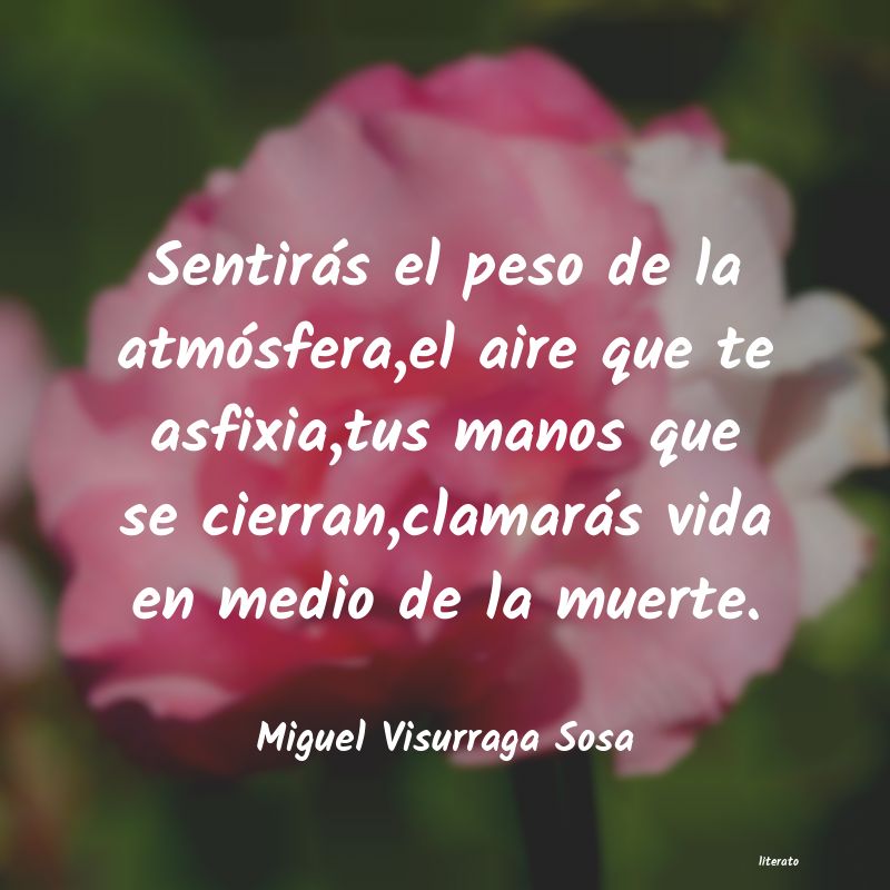 Frases de Miguel Visurraga Sosa