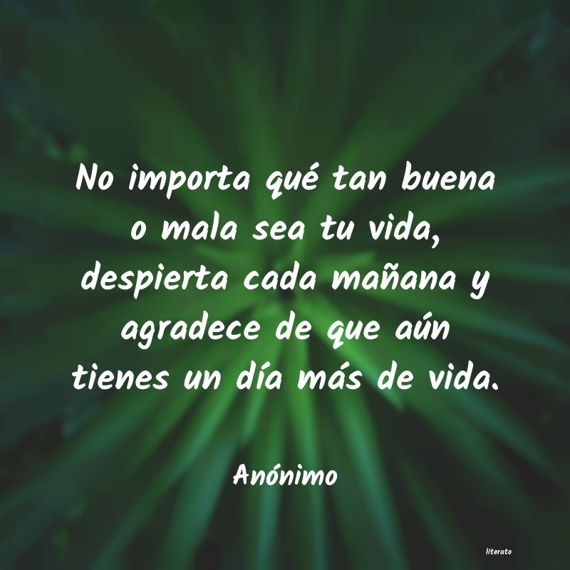 importa