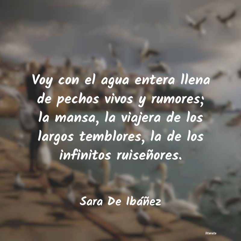 frases de Sara De Ibáñez