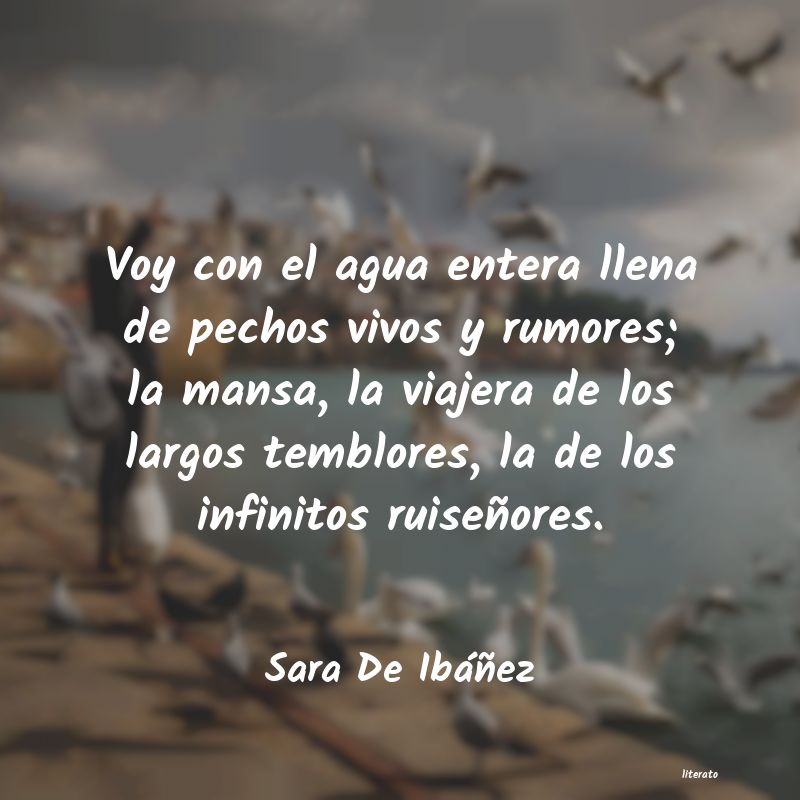 Frases de Sara De Ibáñez