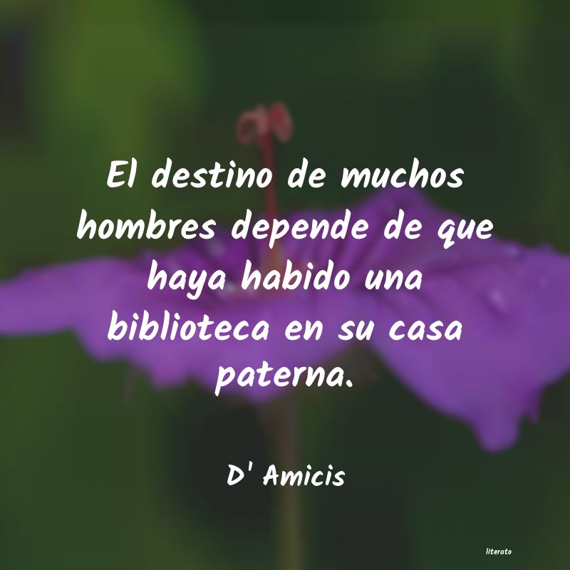 Frases de D' Amicis