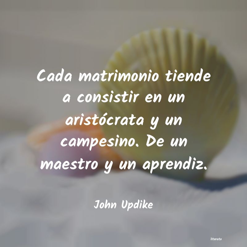 frases de John Updike