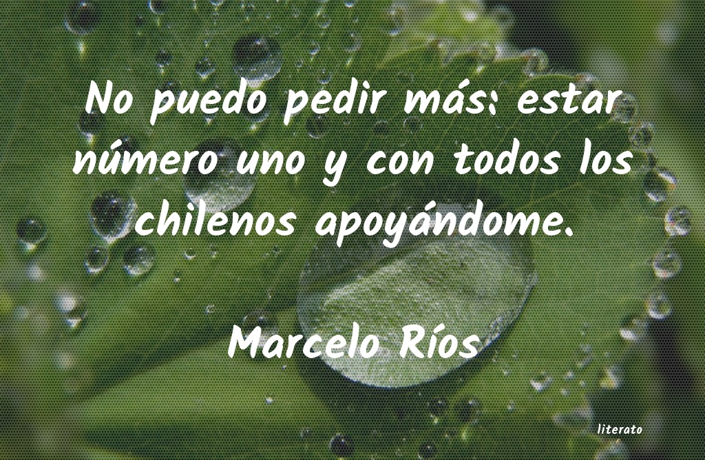 frases de Marcelo RÃos