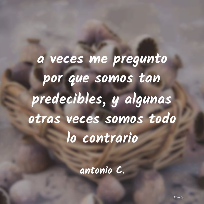 Frases de antonio C.