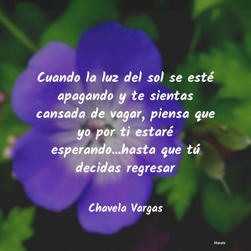 Frases de Chavela Vargas