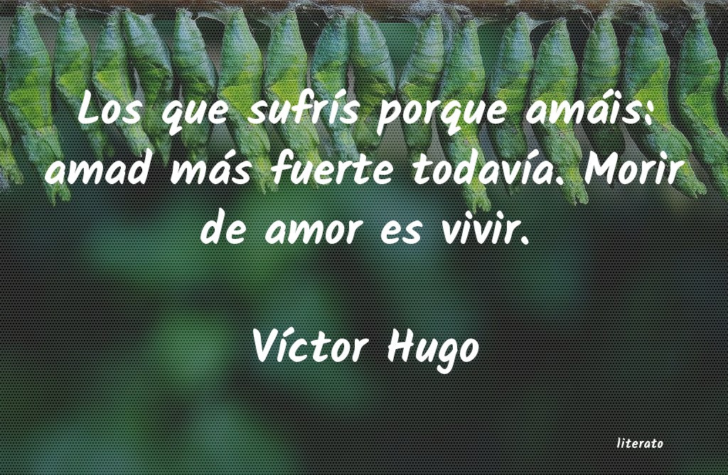 frases de VÃctor Hugo