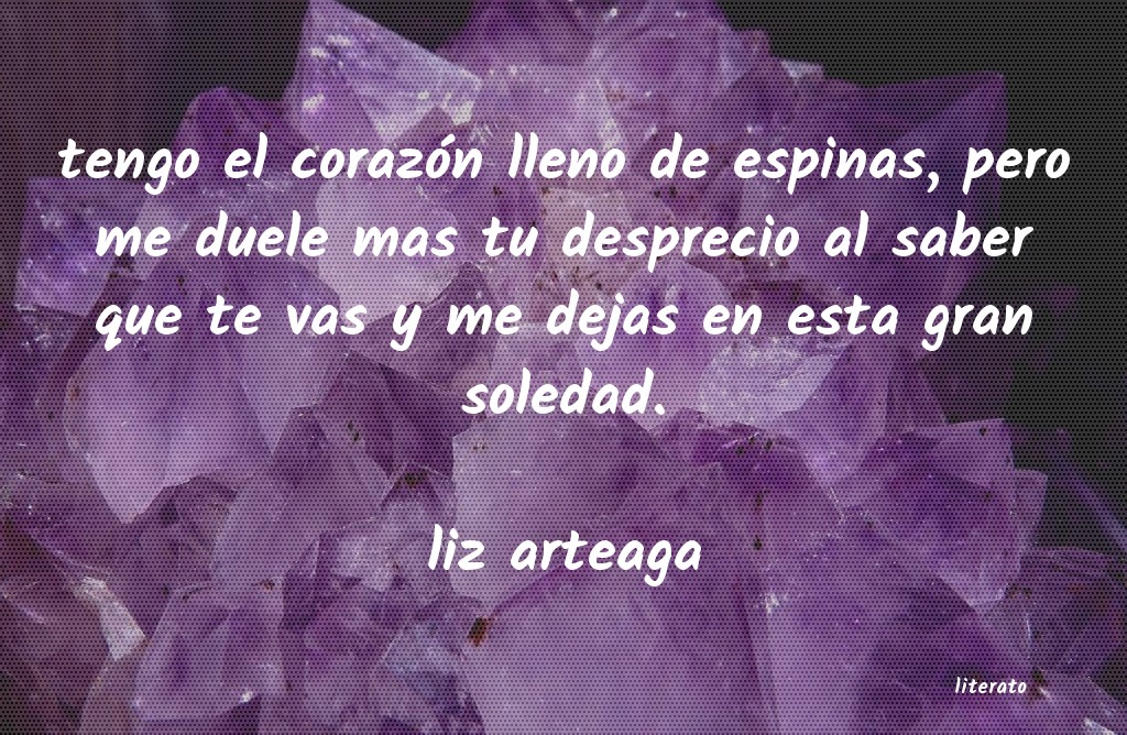 frases de liz arteaga