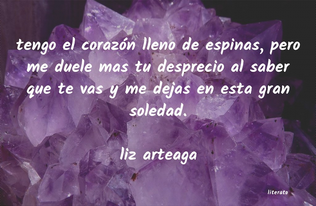 Frases de liz arteaga