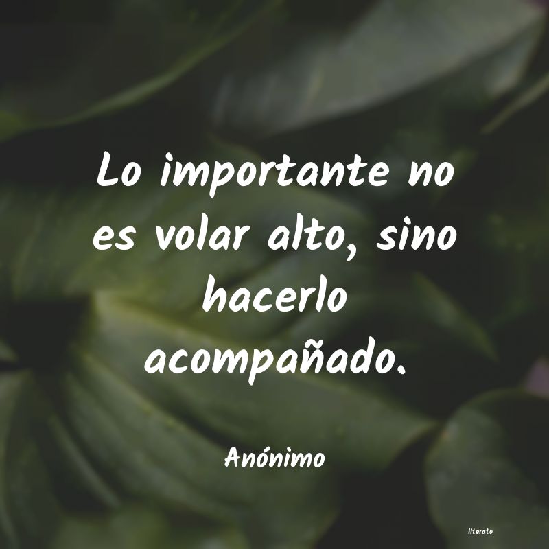 frases
