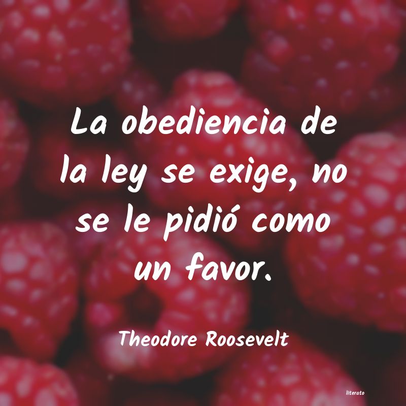 Frases de Theodore Roosevelt