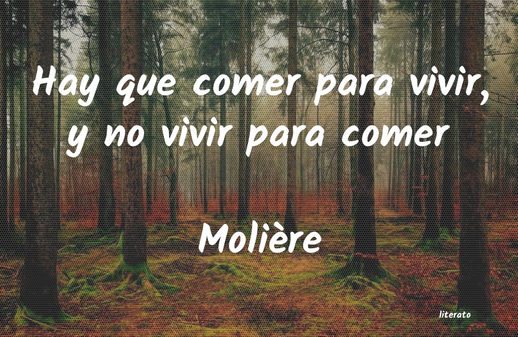 Frases de Molière