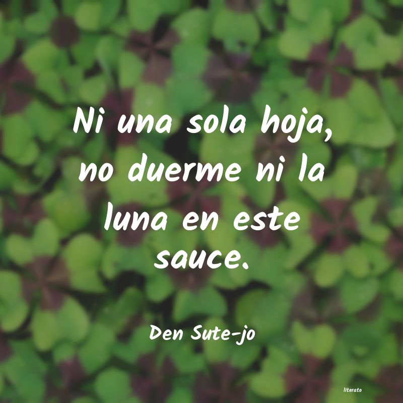 Frases de Den Sute-jo