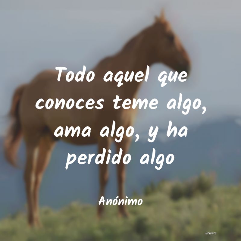 lo que no es dado es perdido